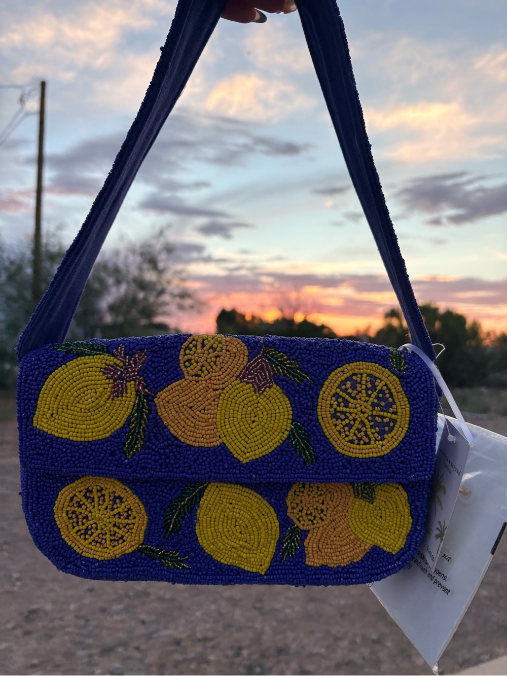 Beaded Citrus Mini Shoulder Bag with Matching Earrings! - Blue & Yellow